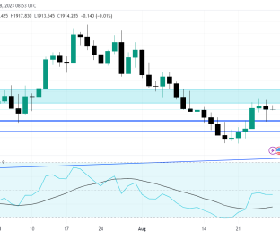 XAUUSD_2023-08-28_12-23-55